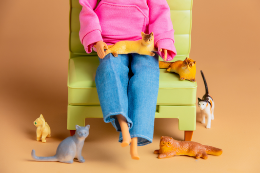 crazy cat lady