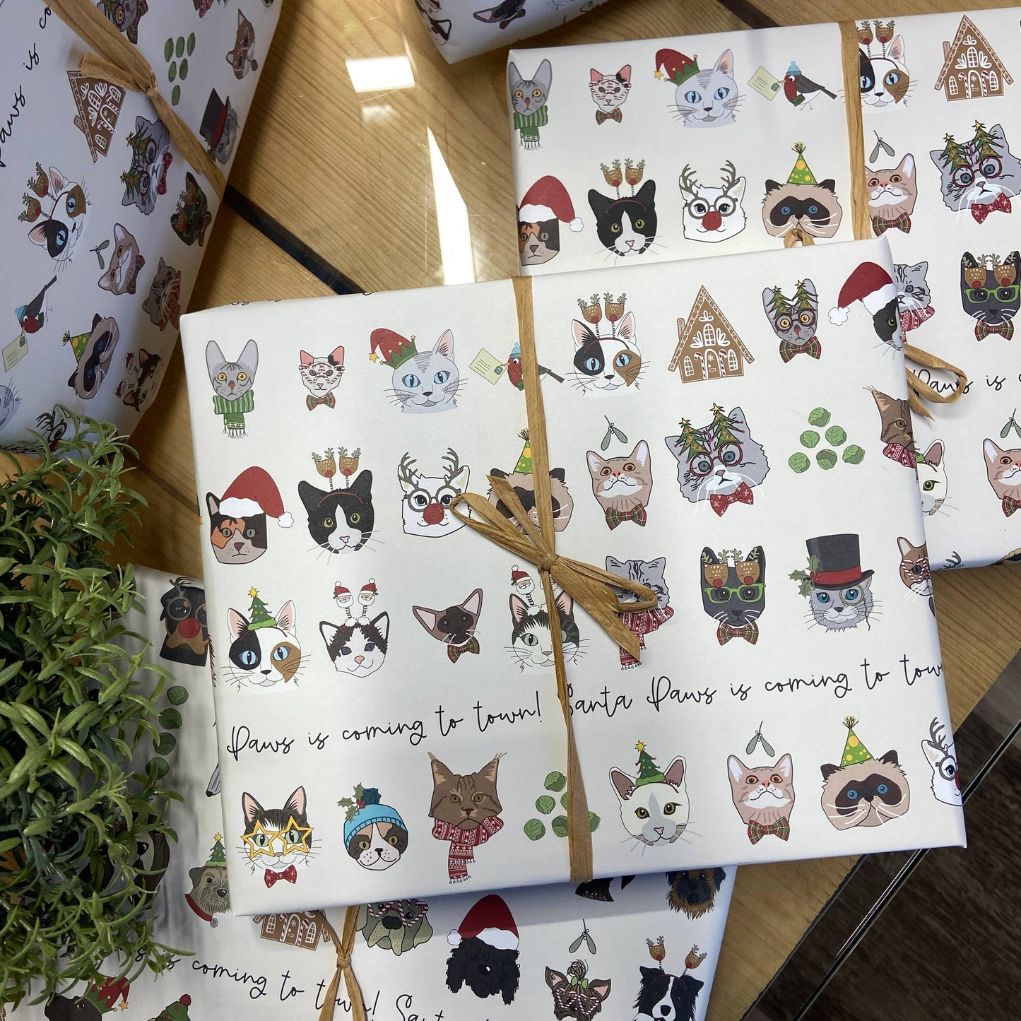 Santa Paws Cat Gift Wrap