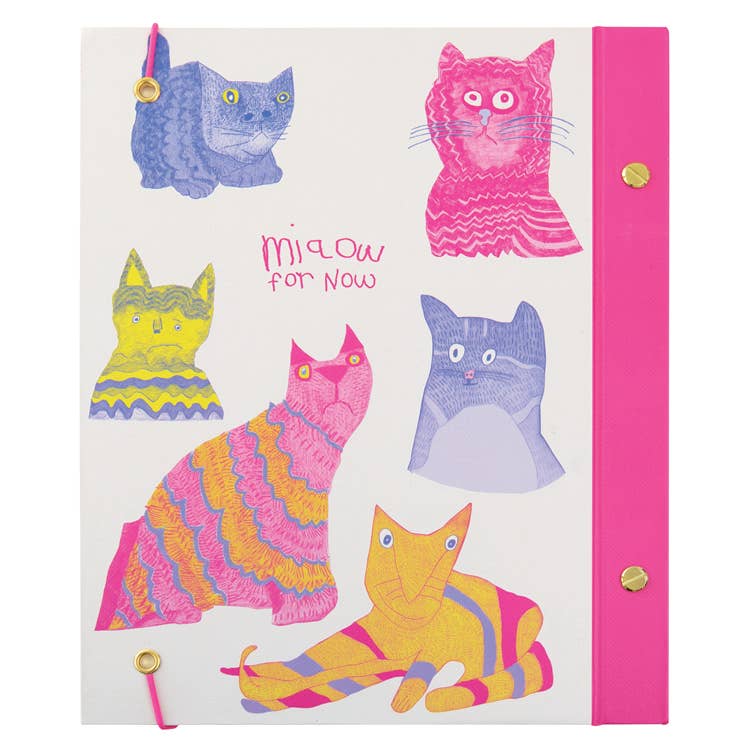 Colourful cat illustration on a white background with pink border