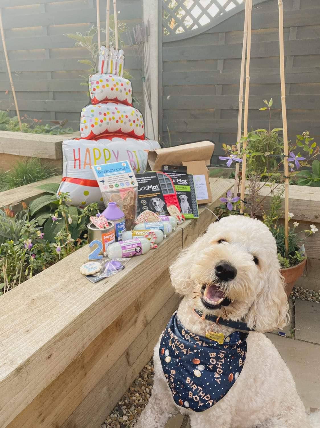 Dog sitting next to a birthday cake with candles on a wooden deck.