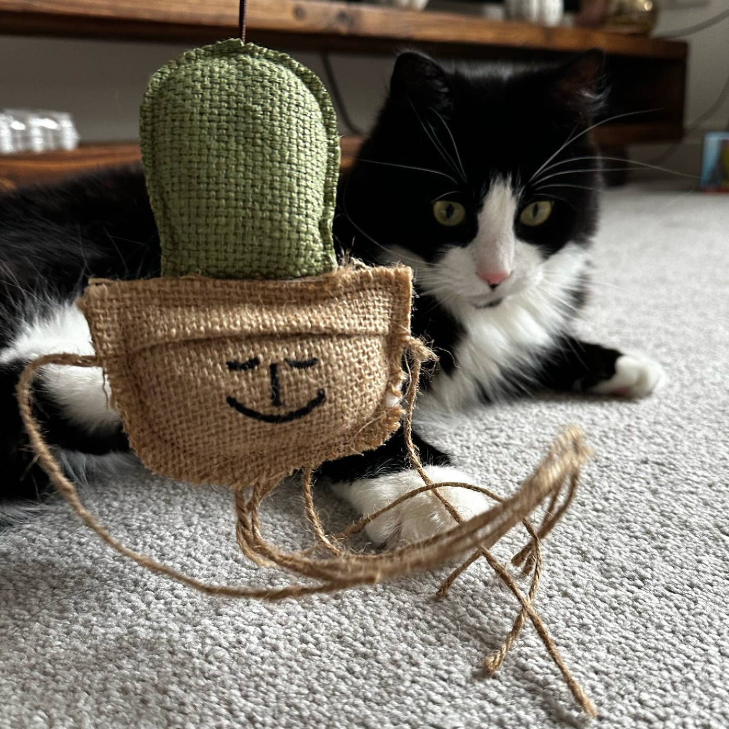 Cat playing with a green and brown cat toy on a carpeted floor.