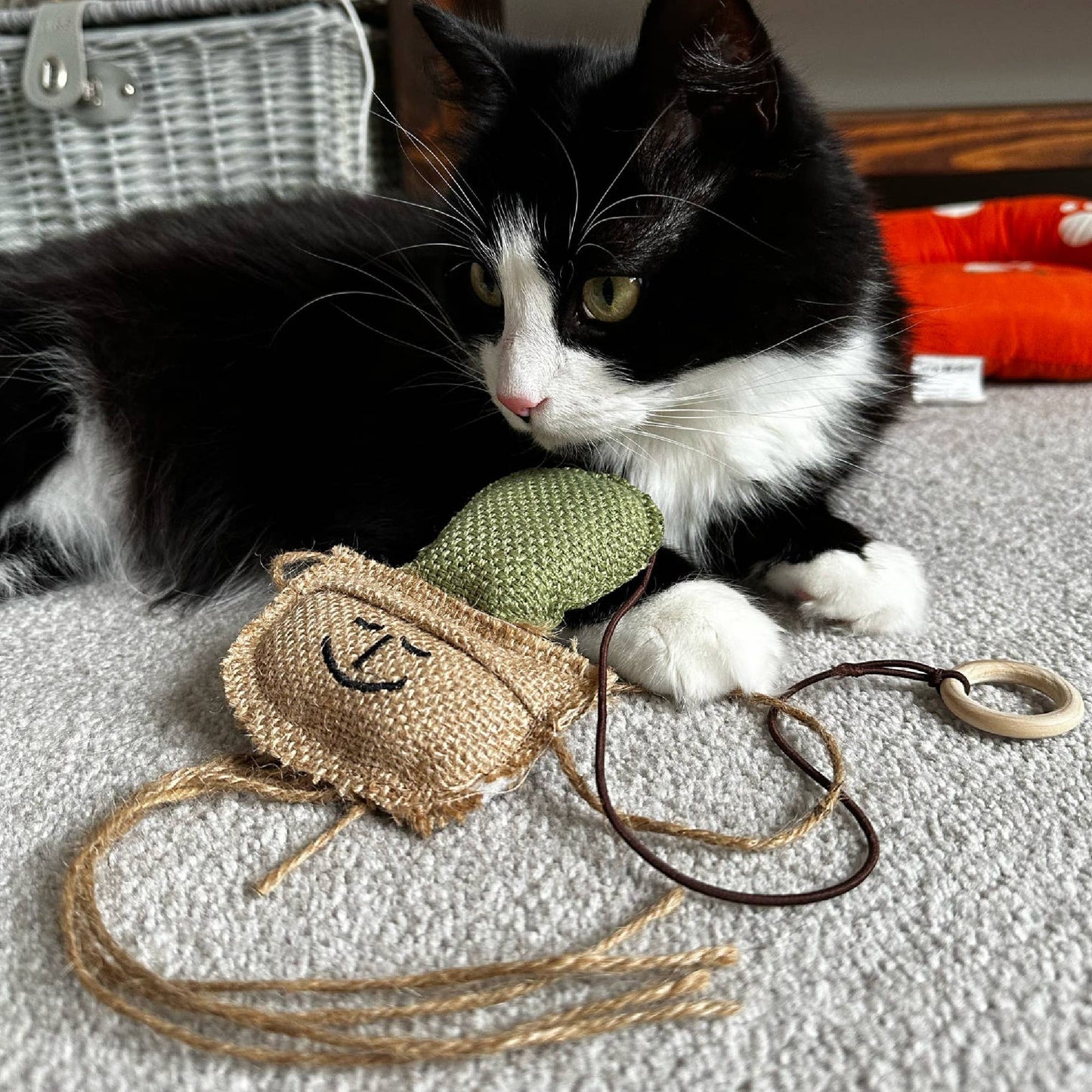 Black and white cat playing with a toy on a textured surface