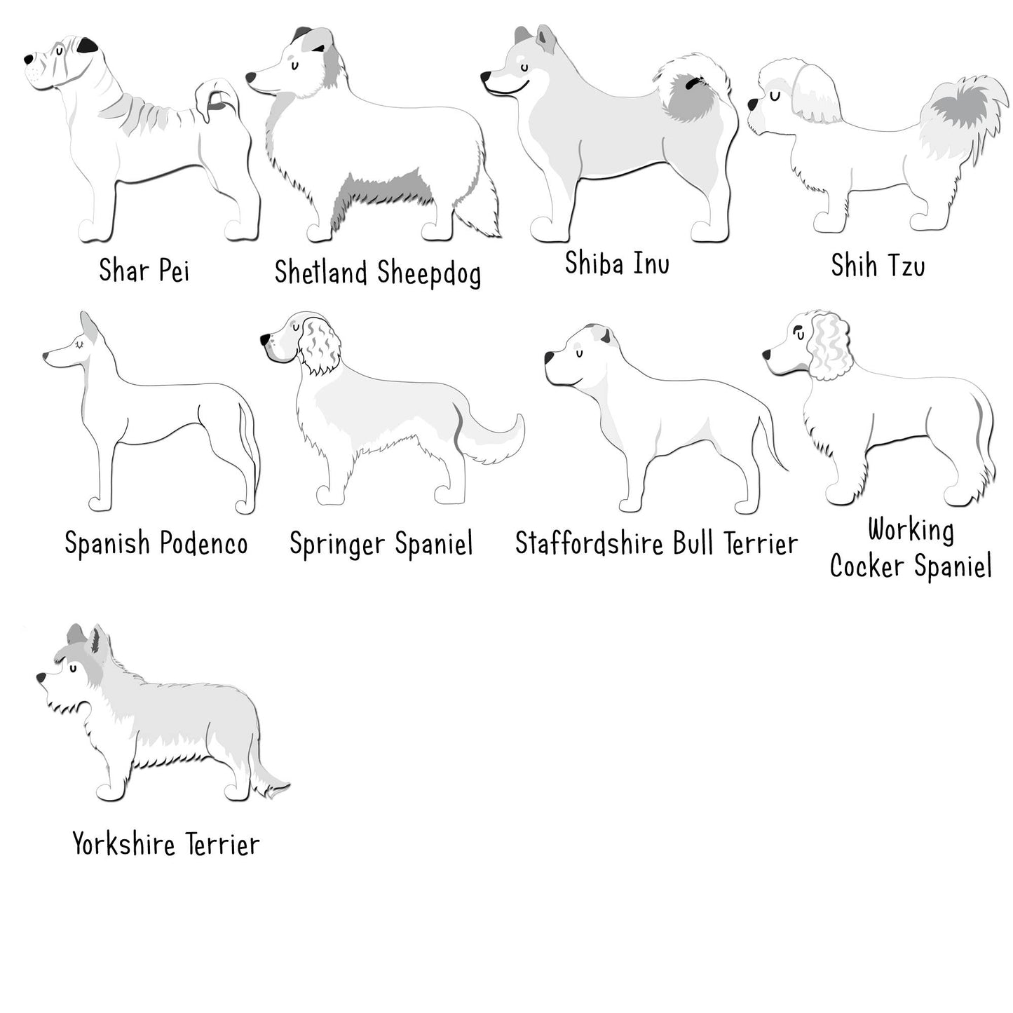 Illustrations of various dog breeds with labels on a white background
