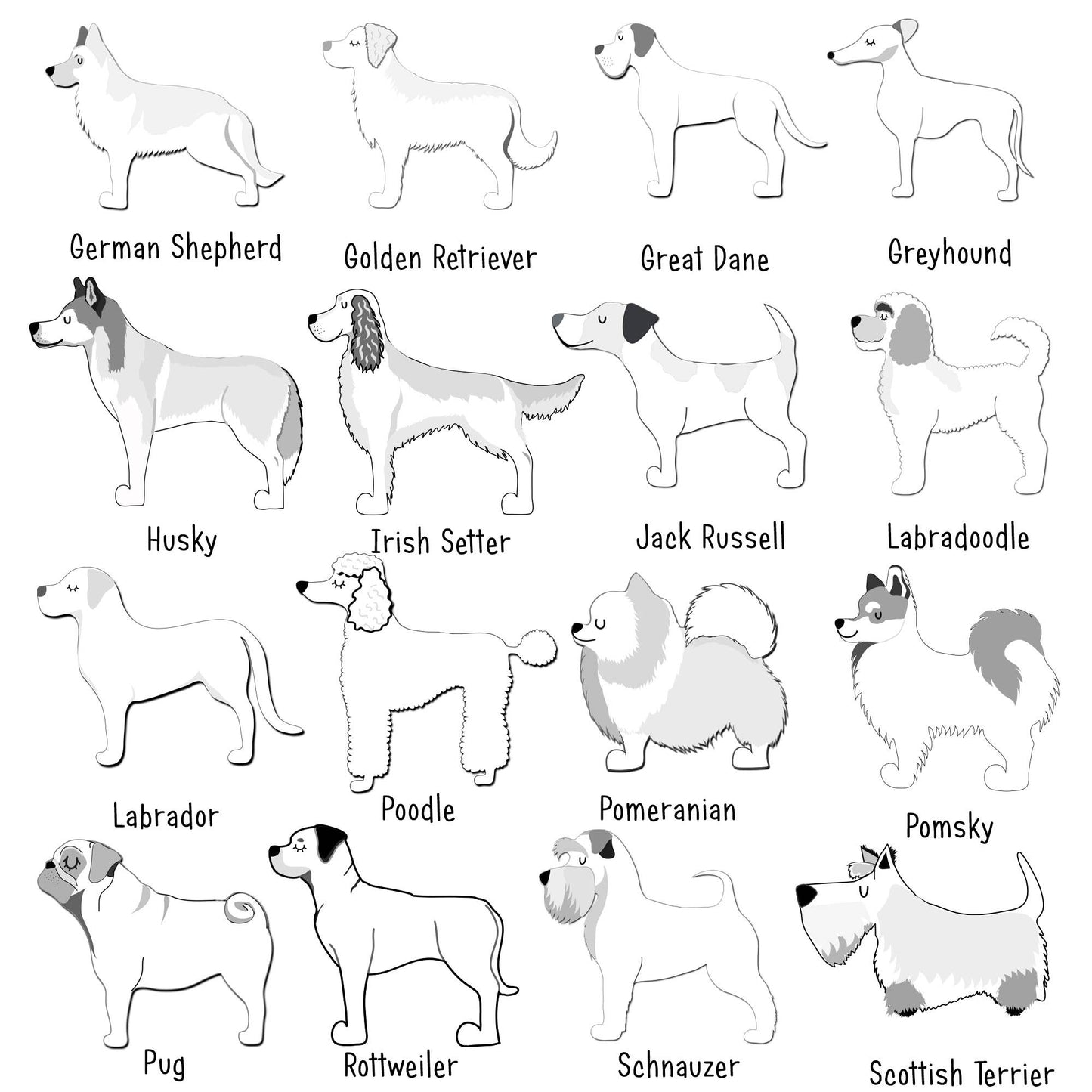 Illustrations of various dog breeds with labels below each illustration.