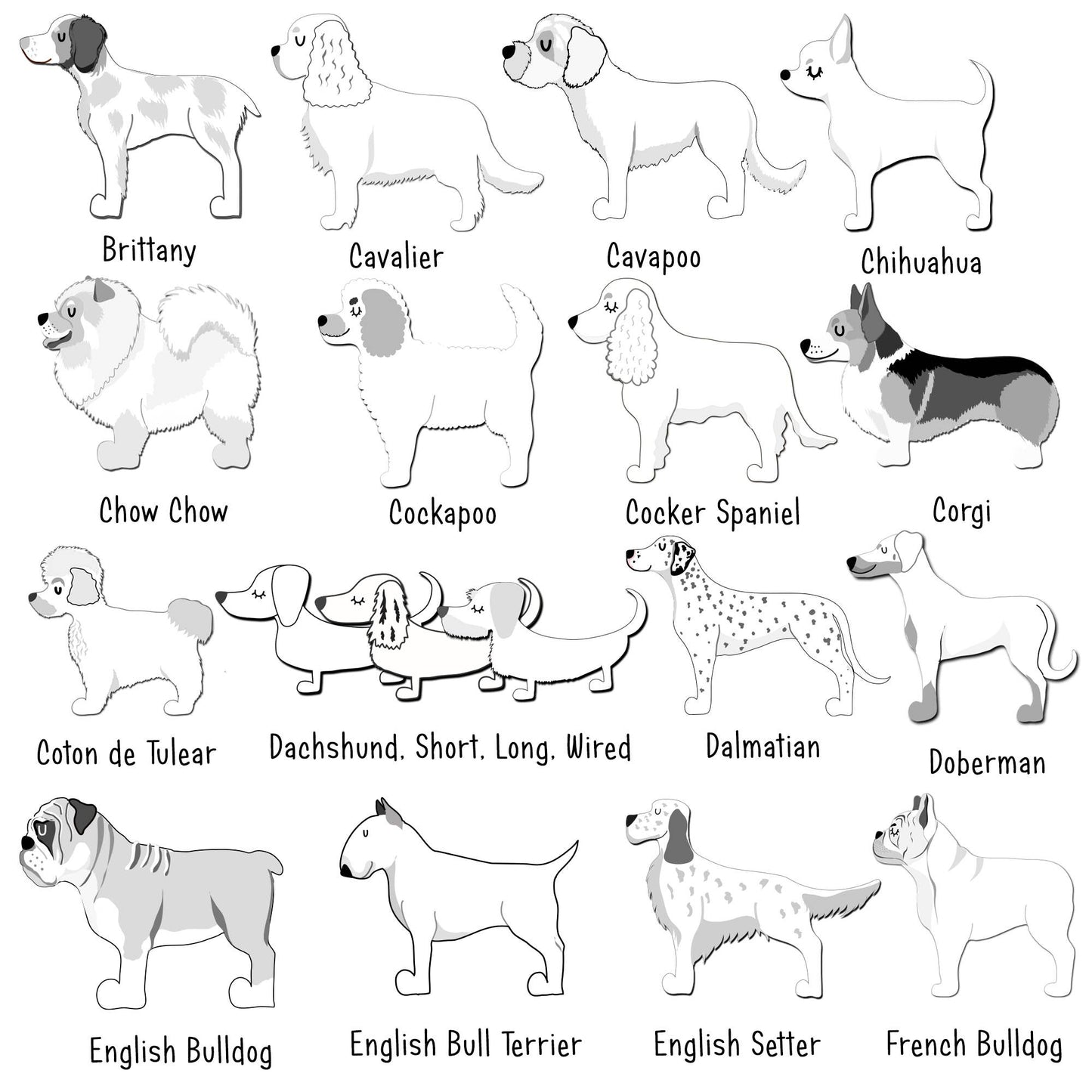Illustrations of various dog breeds with labels on a white background