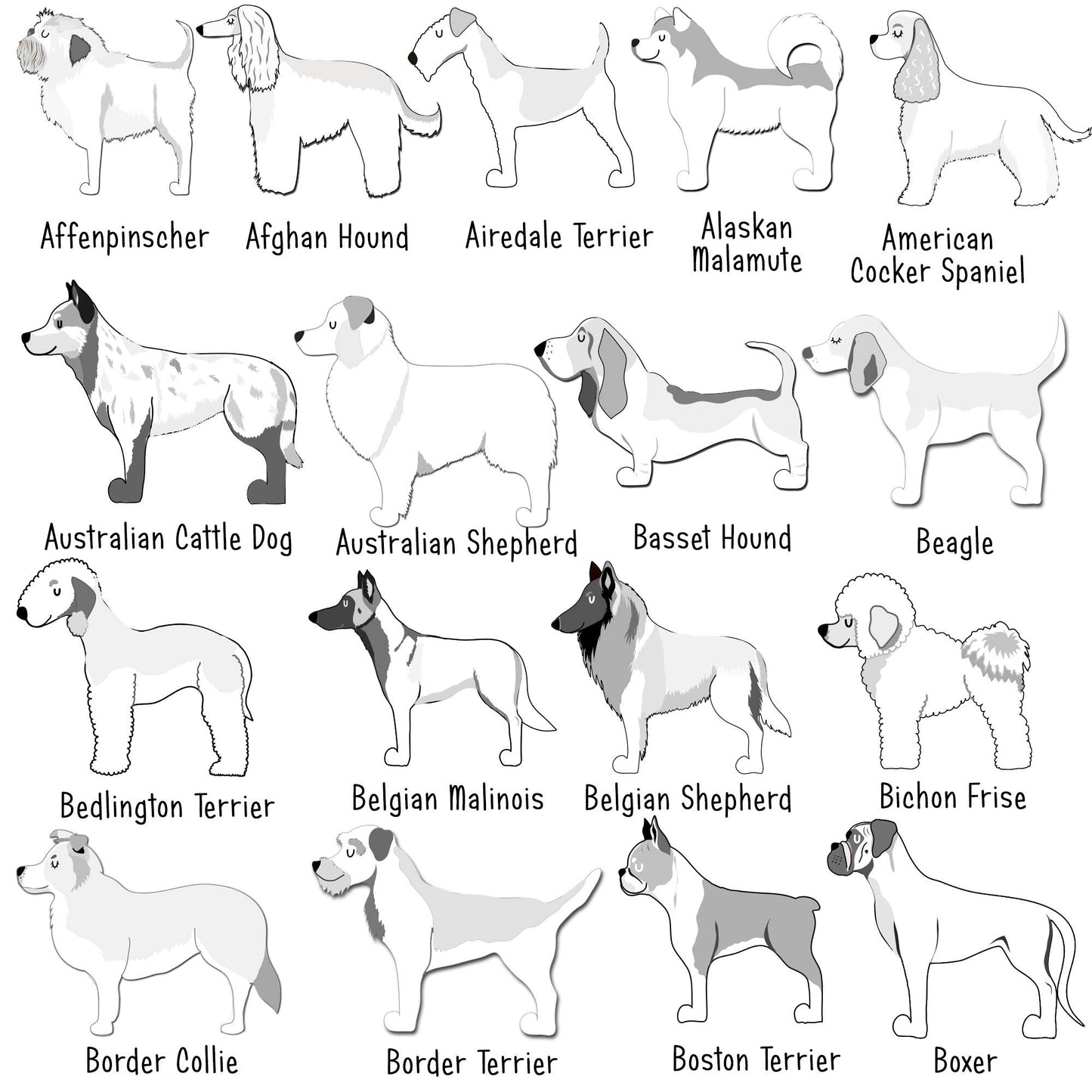Illustrations of various dog breeds with labels below each illustration.