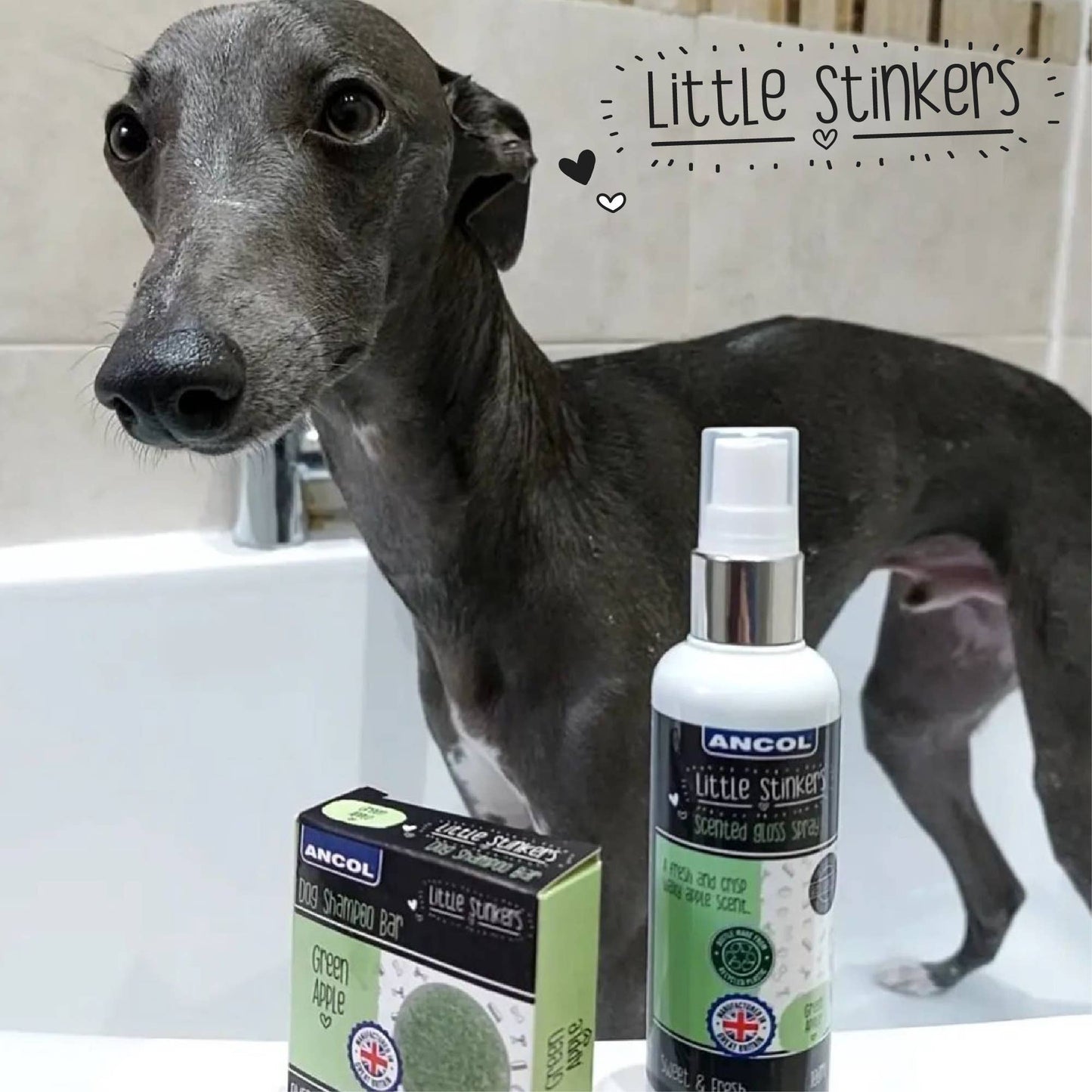 Dog next to Ancol Little Stinkers pet care products in a bathroom setting
