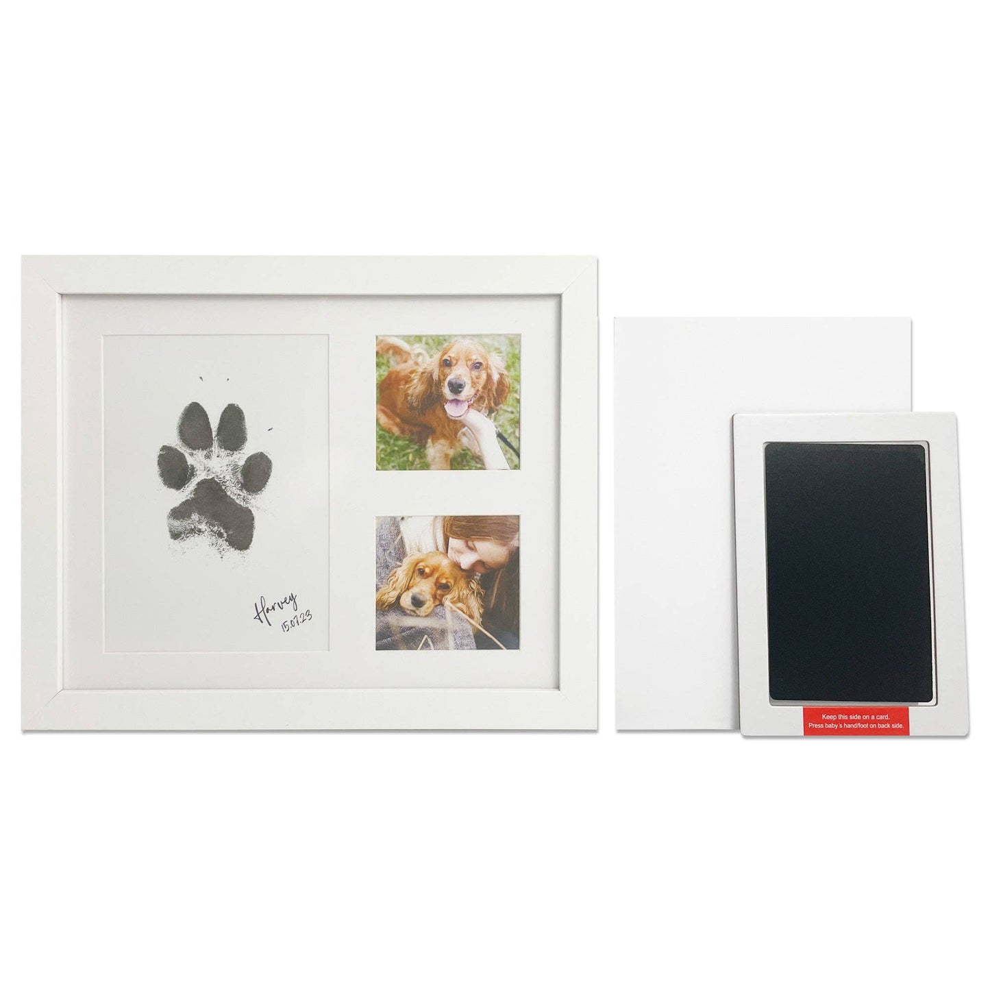 white frame with dog paw print in ink and photo of the dog next to it
