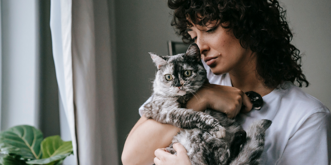 women holding cat in her arms
