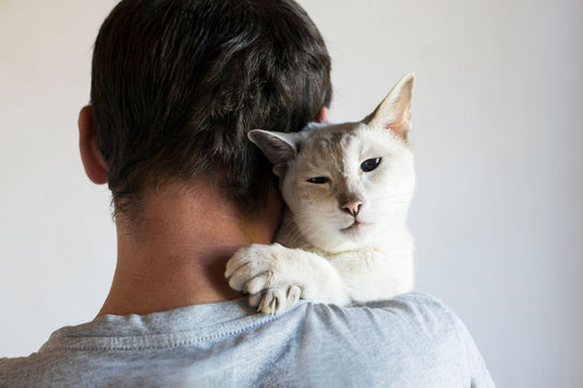 The back of a man with a white cat looking over his shoulder. 