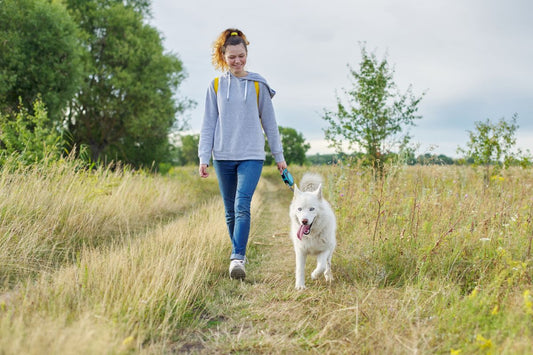 Women out walking her dog in a field