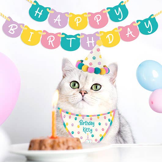 Birthday Kitty - Cat Birthday Kit