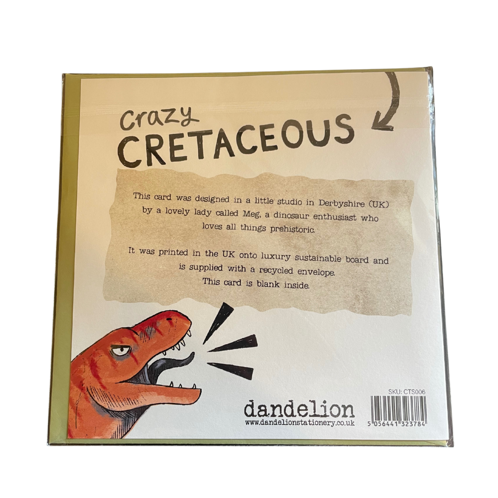 Card packaging with dinosaur illustration and text about the product, brand, and sustainability details.