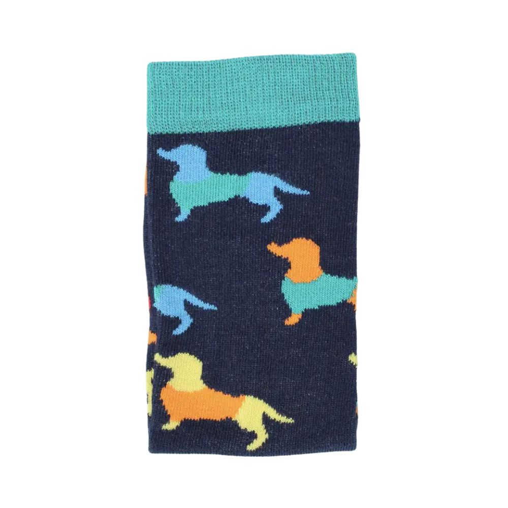 Sock with colourful dachshund pattern on a white background