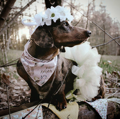 Dachshund wearing a flower crown and bandana in a natural setting