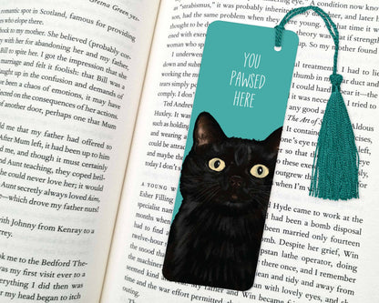 Black cat peeking out from behind a teal bookmark with 'You Paused Here' text on an open book.
