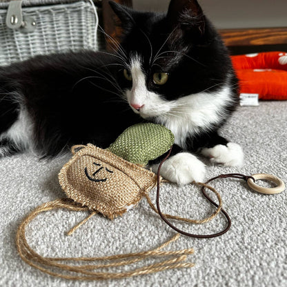 Black and white cat playing with a toy on a textured surface