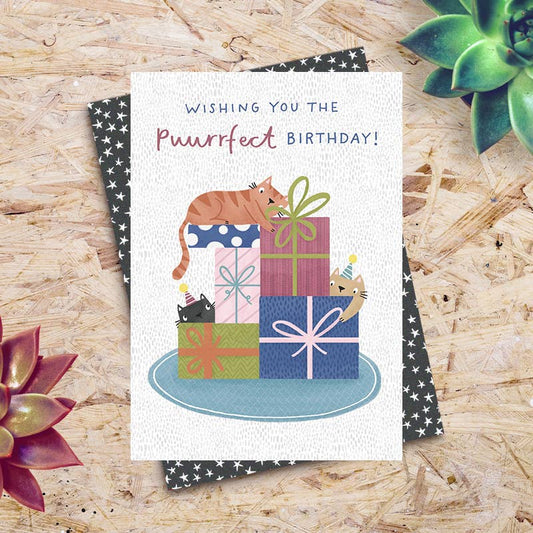 Birthday card with cat illustrations and gift boxes on a wooden surface with succulents.