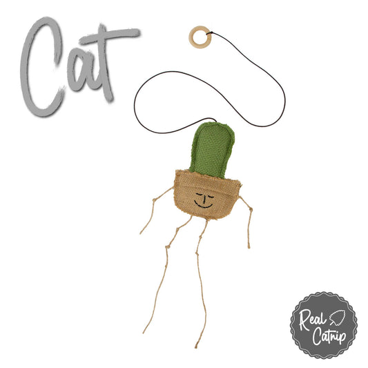 Cat toy shaped like a cactus with a face on a white background