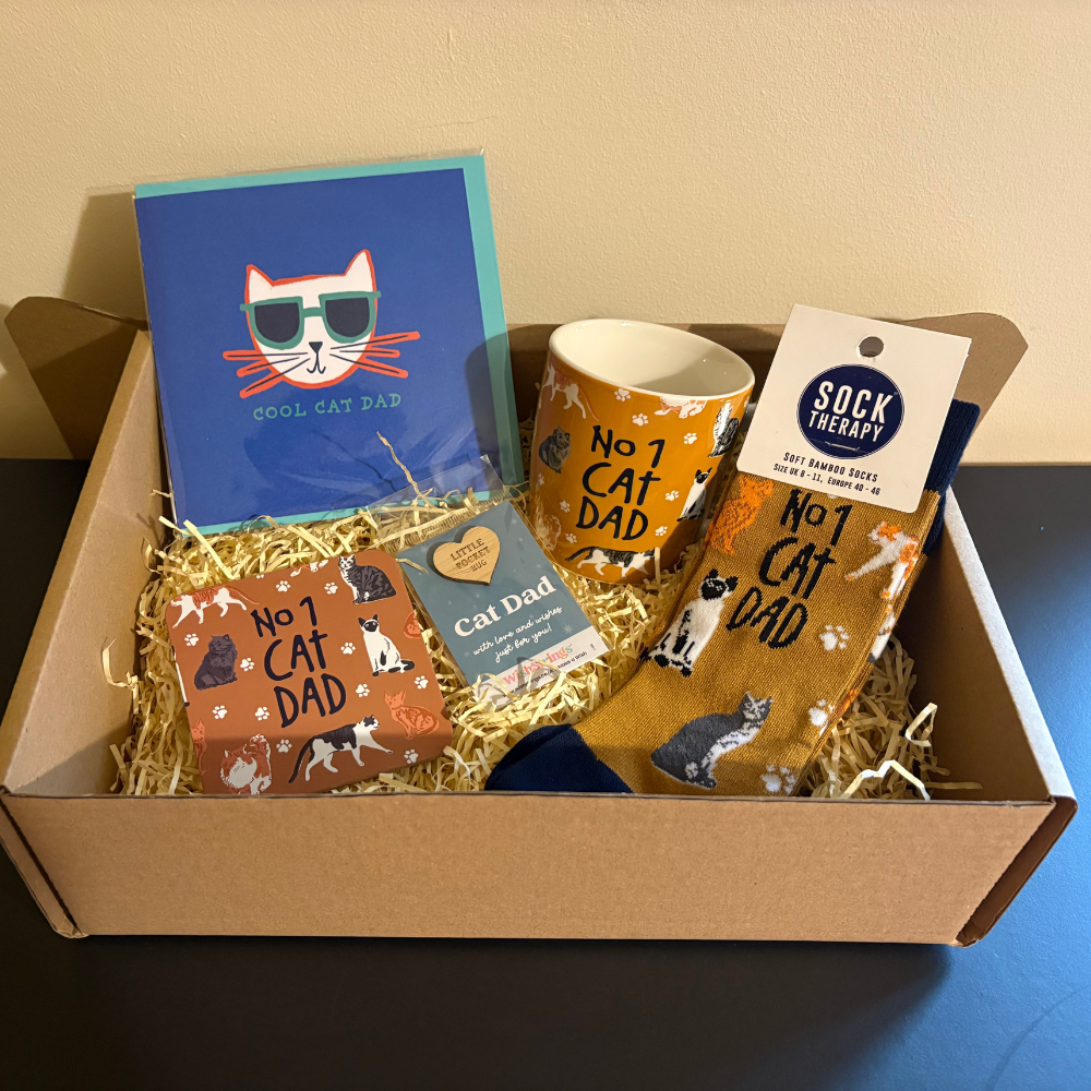Gift set for a cat dad with mug, socks, cards, and book in a box.
