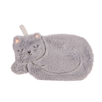 Cat hot water bottle.