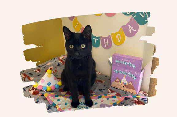 Black cat sitting on a birthday-themed mat with a birthday cake and banner.