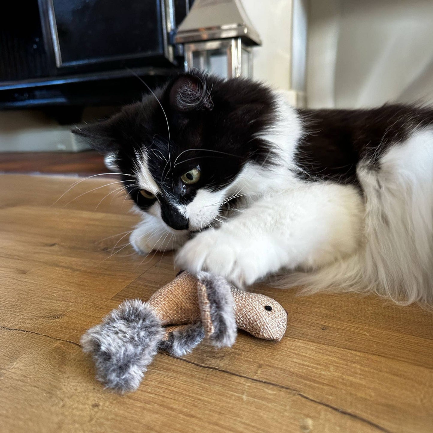 Black and white cat playing with a toy on a wooden floor