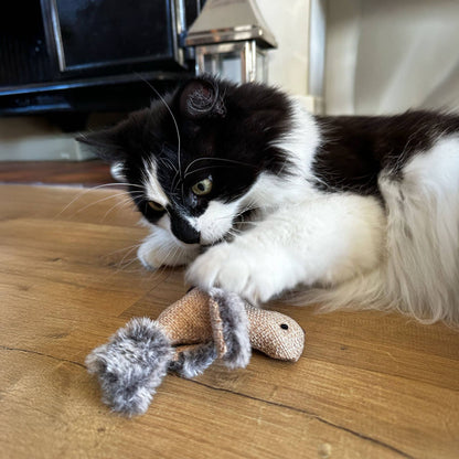 Black and white cat playing with a toy on a wooden floor
