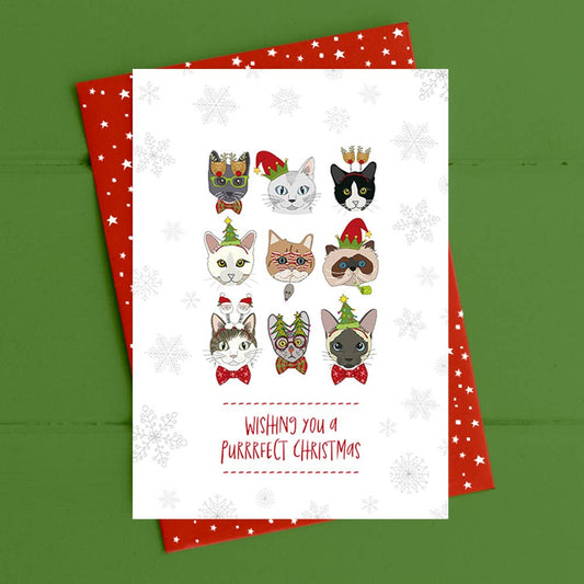 Christmas card with cats wearing festive hats and scarves on a green background