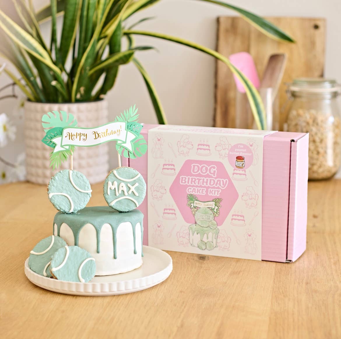 Dog birthday cake kit with cake and decorations on a table