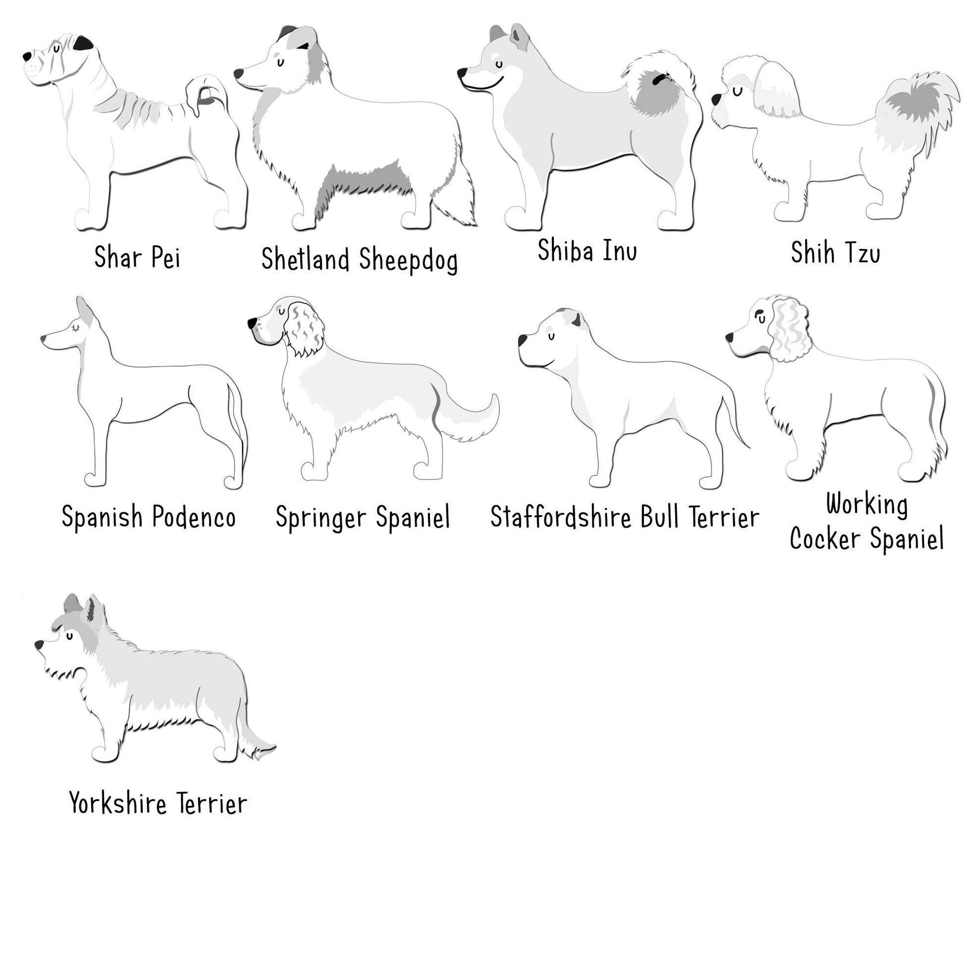 Illustrations of various dog breeds with labels on a white background