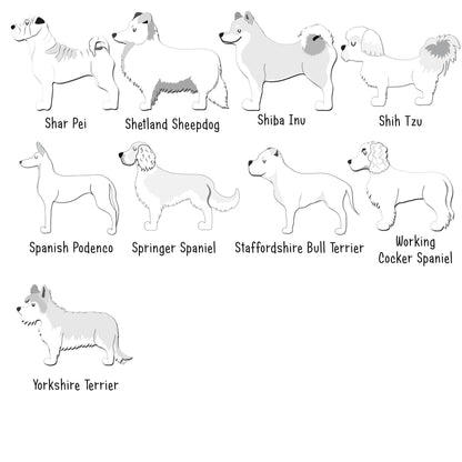 Illustrations of various dog breeds with labels on a white background
