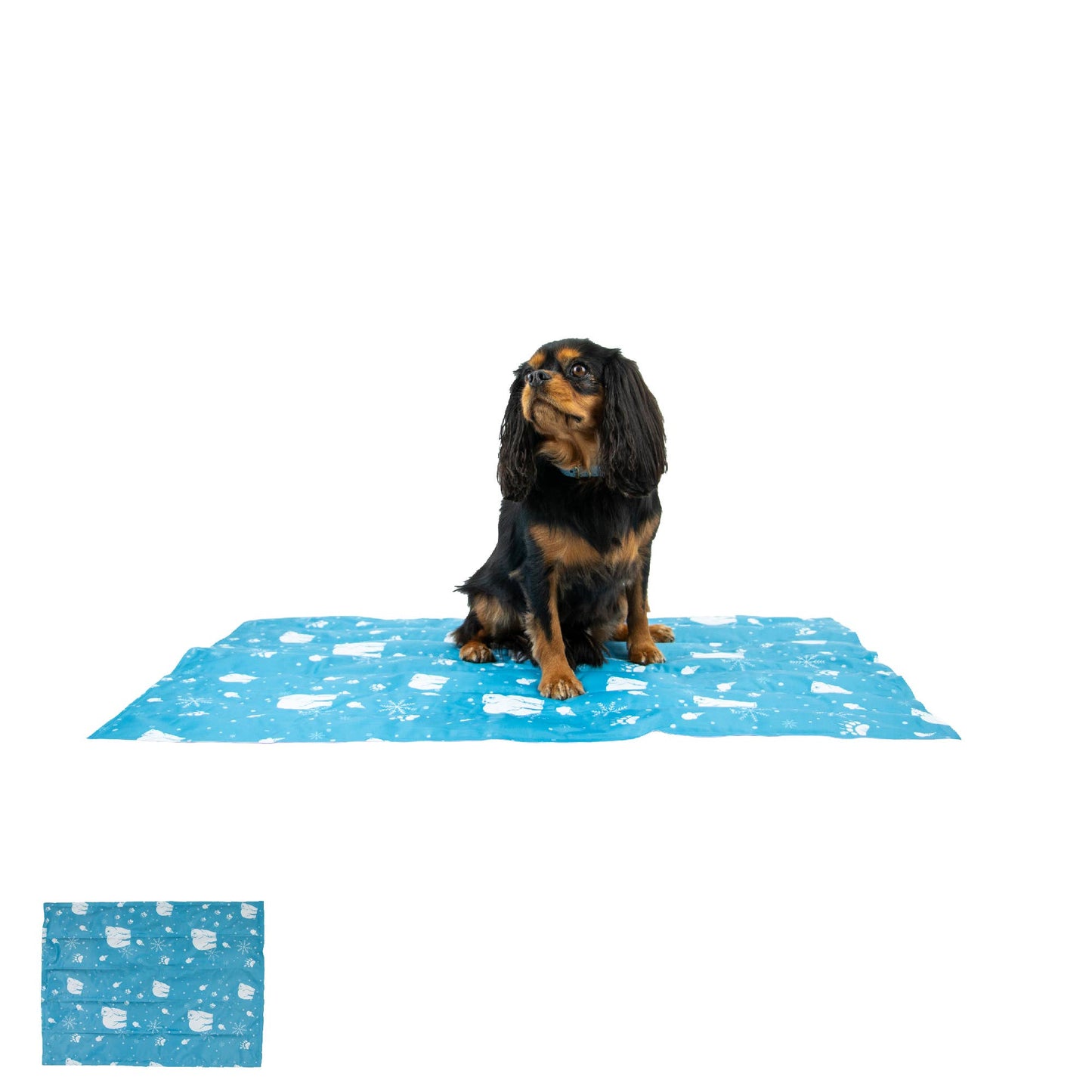 Dog sitting on a blue cooling mat with white patterns on a white background