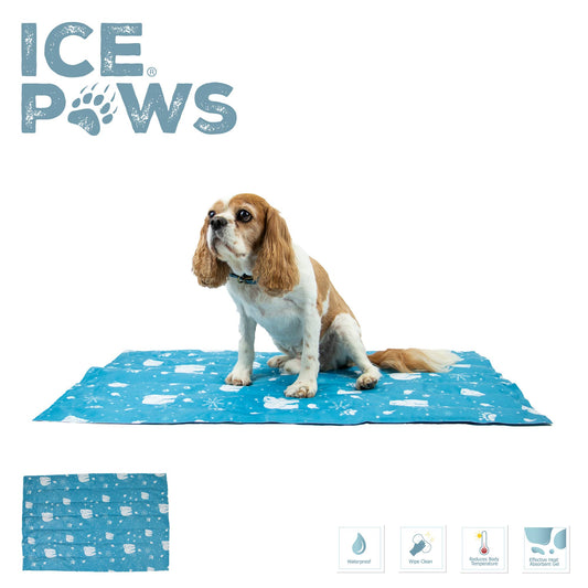 Dog sitting on a blue 'ICE PAWS' mat with paw print pattern on a white background.