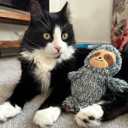 Black and white cat with a plush sloth toy on a carpeted floor.